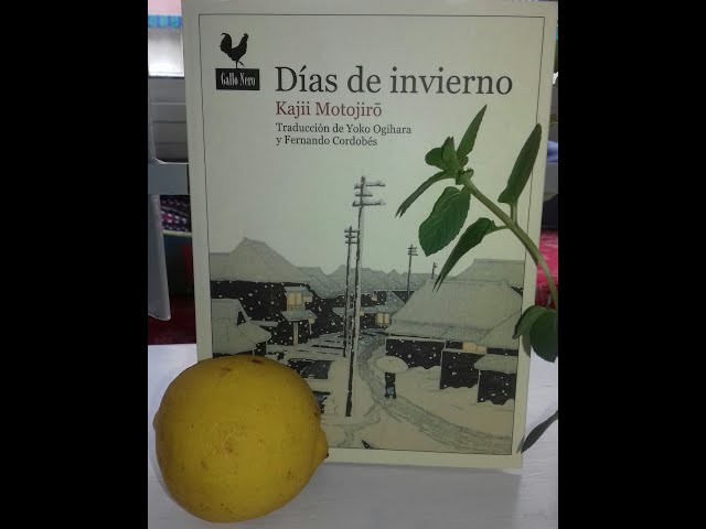 Vídeo relacionado con Días de invierno: 61 (Narrativas)