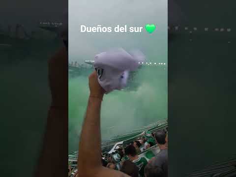 "recibimiento Banfield" Barra: La Banda del Sur &bull; Club: Banfield