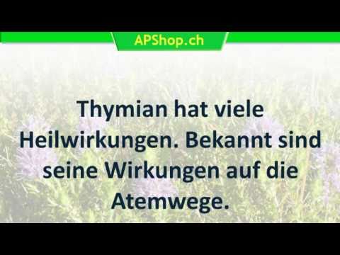 Thymian tee schwangerschaft