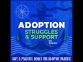 242 – Your Body Remembers: How Understanding Your Own Grief Helps Your Adopted Child