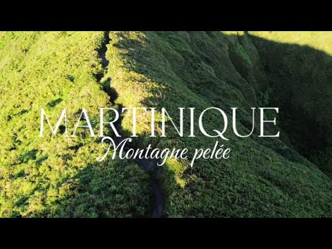 Discovering a wonder of Martinique, Mount Pelée and rescuing a pelican. S1/EP3
