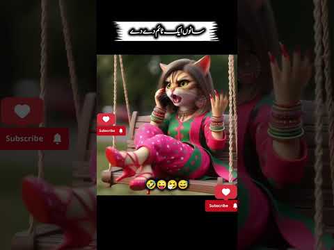 Hayeeee shani🥺|funny cat talking 😂#funnycats #shortsyoutube #funny