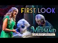 Jodi Benson, the Voice of Ariel, Gets Emotional as She Surprises Cast of New “The Little Mermaid ”Show at Disney World: Watch