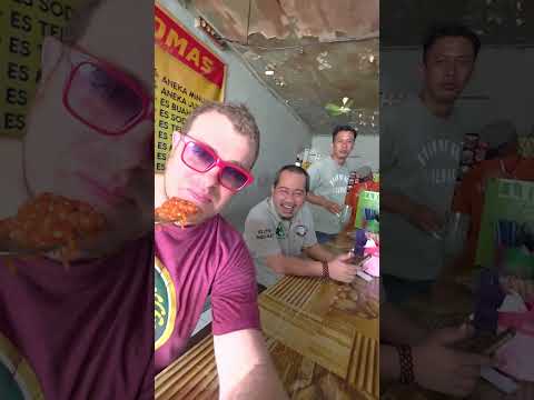 Food X Bert and Bert Digs 