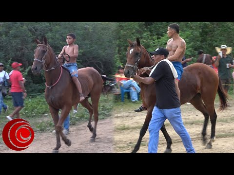 CARRERAS de CABALLOS 🐎🐴 San Estanislao, Arenal, Bolívar, Colombia. 9 de noviembre de 2025