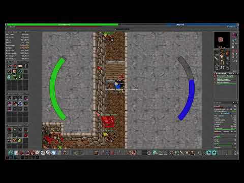 Tibia Hunt Cults de Carlin Knight Lvl 80 900k XP/h