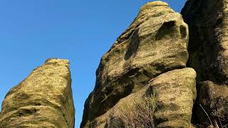 NEWMANGENERATOR — ITS OEUVR 2015—21 — Full Compilation