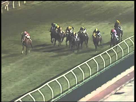 Galoppo 09/01/2015 - 6° corsa