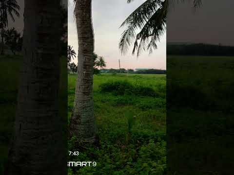 NATURE #Short video
