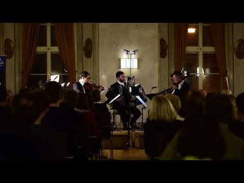 Astor Piazzolla: Five Tango Sensations | Auner Quartett | Nikola Djoric