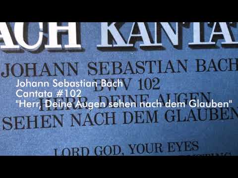 Max Roomsky sings Bach - Erschrecke doch, du allzu sich're Seele - BWV 102