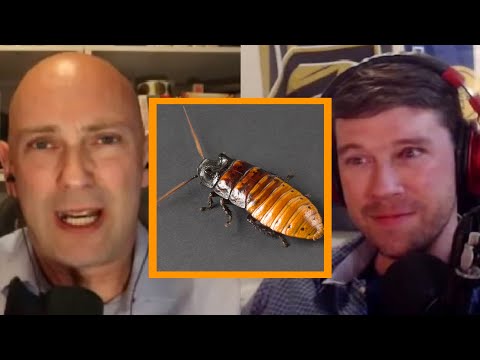 Shaun Attwood on the Swarms of Cockroaches in Prison | PKA