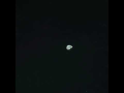 YouTube 썸네일