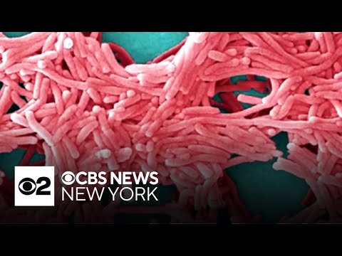 NYC officials unveil plan to ramp up response to ...