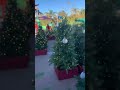 You Go That Way I Ll Go This Way Sesameplace Maze Christmastrees Sesamestreet Wrongway