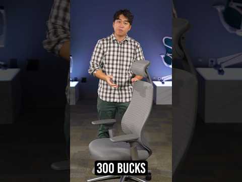 The BEST Ergonomic Chair Under $300