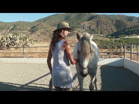 A Beginning on the Ground | The Reinback part 1