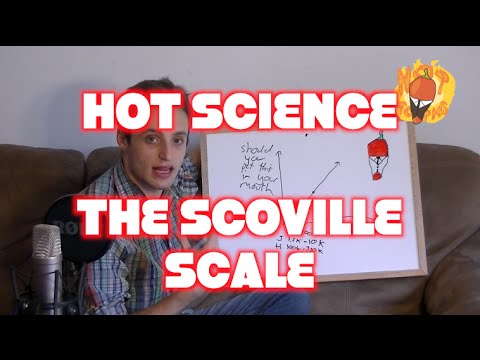 download lagu mp3 mp4 Scofield Heat Scale, download lagu Scofield Heat Scale gratis, unduh video klip Scofield Heat Scale