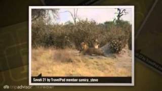 preview picture of video 'Savuti Campsite Samira_steve's photos around Chobe, Botswana (savuti campsite chobe botswana)'