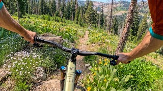Lake Tahoe is a FEAST FOR THE SENSES! | Mountain Biking the Tahoe Rim Trail