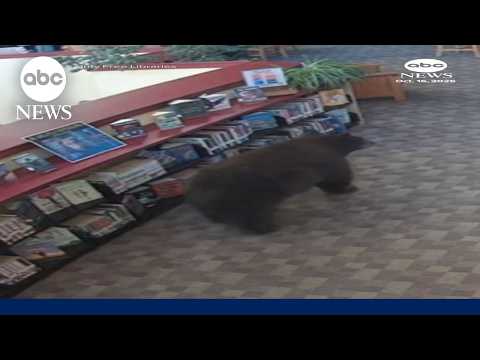 Bear makes unexpected visit to California library