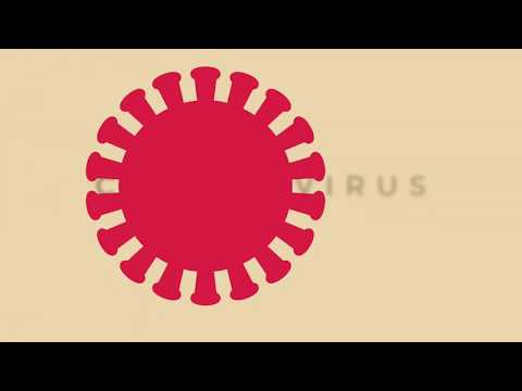 Coronavirus: recomendaciones para prevenirlo - YouTube