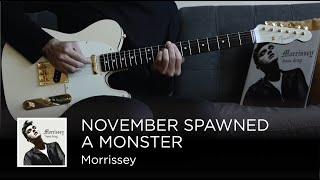 Morrissey - November Spawned A Monster (Guitar Cover)