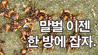 지극지긋한 말벌 이젠 한 방에 해결합시다.
