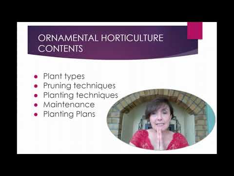 Horticulture and Ecology Hubs at Dundrum CFE Video