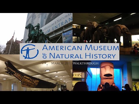 Animals, Culture and Dinosaurs  - The American Museum of History