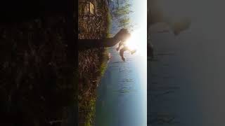 Платные рыбалки в ульяновской области