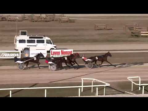 2023.03.04. 06. futam - INGYENÉLŐ HENDIKEP