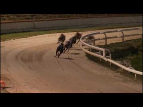 2017 RPGTV SCOTTISH DERBY - SHAWFIELD - 3RD SEMI - T2 DROOPYS BUICK