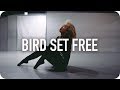 Bird Set Free - Sia / Jin Lee Choreography