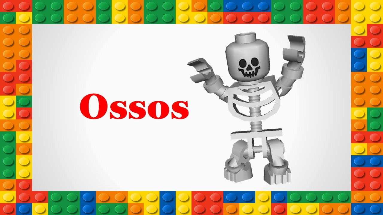 Corpo Humano - Ossos