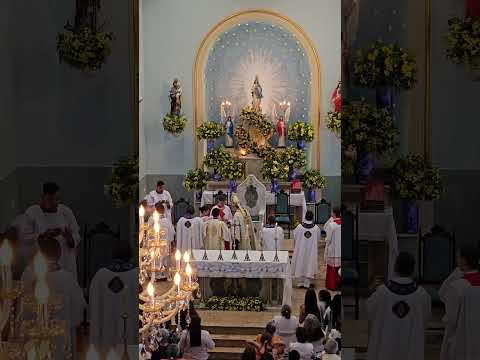 Dia 08 de dezembro de 2024