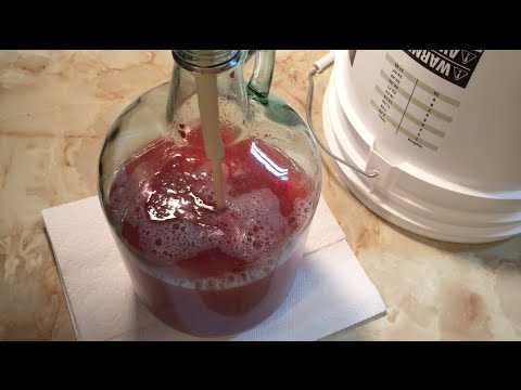 Brewing a Smoooth Raspberry Ale!