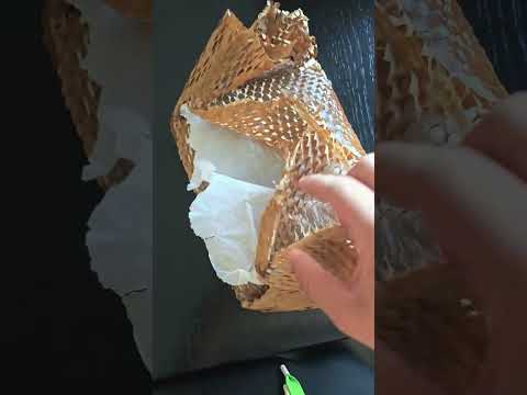 User submitted video