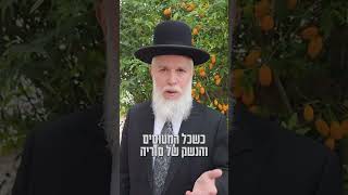 2 במרץ 2026