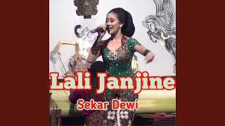 Download lagu Lali Janjine mp3