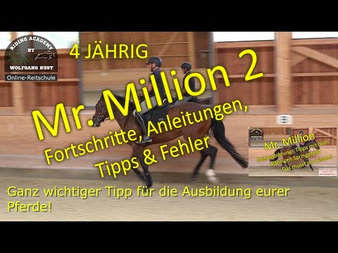 F111 Mr. Million Part 2: Stumbling, gaits, balance, lines,… Riding young and little-ridden horses.