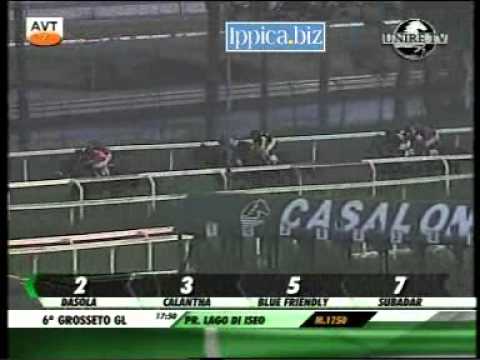 24/10/2012, Grosseto , Premio Lago Di Iseo