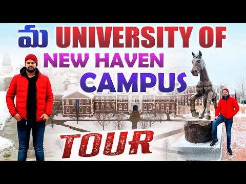 University Of New Haven Campus Tour | #Telugu Vlog | #univerisityfees| #exams |#studentlife|#campus