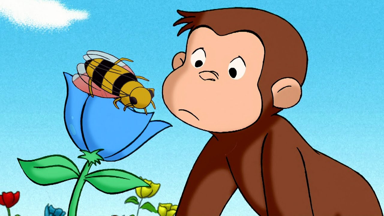 De Onde Vem o Mel? 🐵 George, o Curioso 🐵 Desenhos Animados
