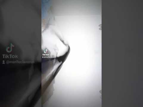 #memory #cat#trending #catlover