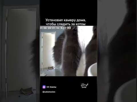 Глаз