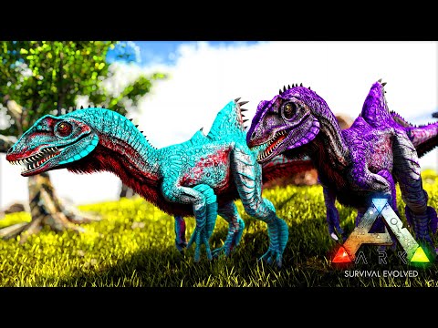 Domesticação CONCAVENATOR+Combate - Taming Concavenator ARK Surival Evolved