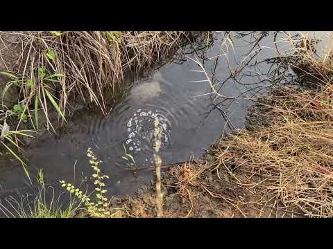 07 Days Pee in life ✨🍃 Peeing in Nature 