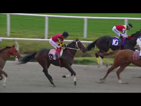 230917 c05 LOOSE LIPS (BRZ)