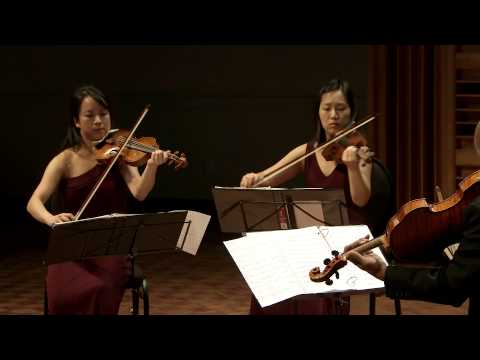 Schubert's String Quintet in C Major, performed by The Afiara Quartet with Joel Krosnick.